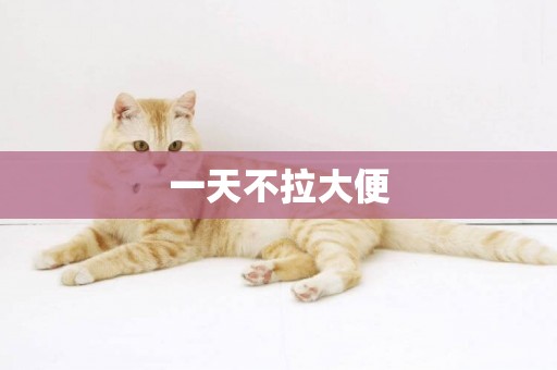 一天不拉大便