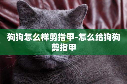 狗狗怎么樣剪指甲-怎么給狗狗剪指甲