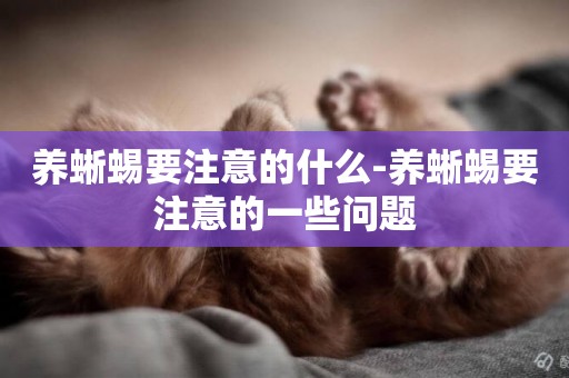 養蜥蜴要注意的什么-養蜥蜴要注意的一些問題