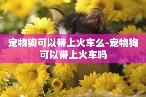 寵物狗可以帶上火車么-寵物狗可以帶上火車嗎