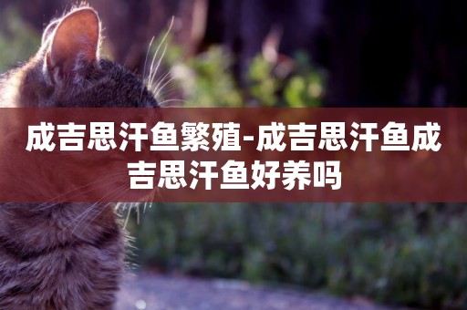 成吉思汗魚繁殖-成吉思汗魚成吉思汗魚好養嗎