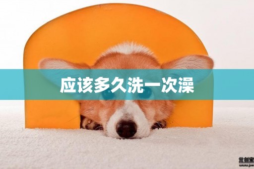 應該多久洗一次澡