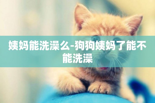 姨媽能洗澡么-狗狗姨媽了能不能洗澡
