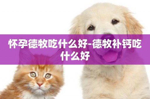 懷孕德牧吃什么好-德牧補鈣吃什么好