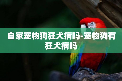 自家寵物狗狂犬病嗎-寵物狗有狂犬病嗎