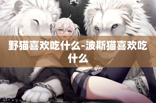 野貓喜歡吃什么-波斯貓喜歡吃什么