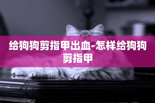 給狗狗剪指甲出血-怎樣給狗狗剪指甲