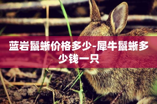 藍巖鬣蜥價格多少-犀牛鬣蜥多少錢一只