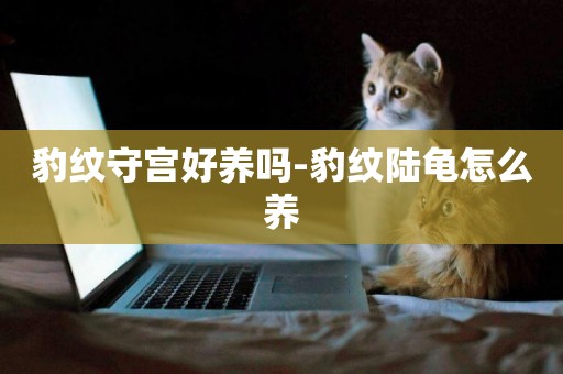 豹紋守宮好養嗎-豹紋陸龜怎么養