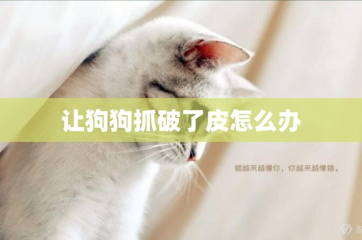 讓狗狗抓破了皮怎么辦