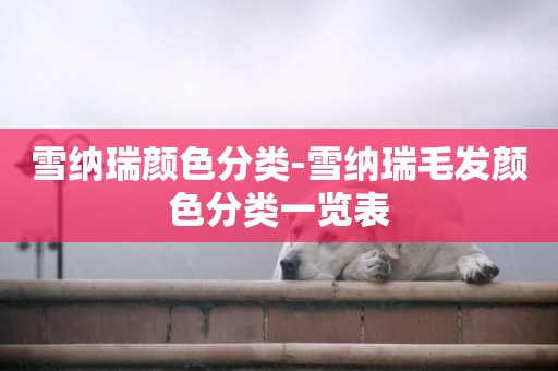 雪納瑞顏色分類-雪納瑞毛發顏色分類一覽表