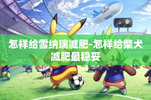 怎樣給雪納瑞減肥-怎樣給柴犬減肥最穩妥