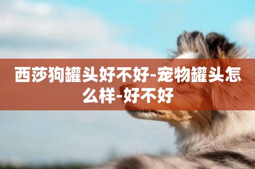 西莎狗罐頭好不好-寵物罐頭怎么樣-好不好