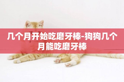 幾個月開始吃磨牙棒-狗狗幾個月能吃磨牙棒