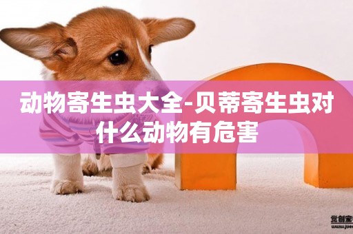 動物寄生蟲大全-貝蒂寄生蟲對什么動物有危害