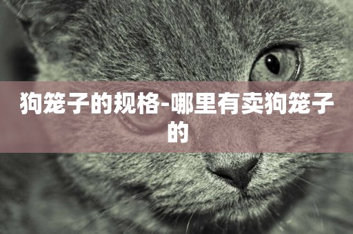 狗籠子的規格-哪里有賣狗籠子的