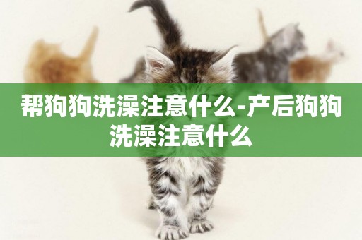 幫狗狗洗澡注意什么-產后狗狗洗澡注意什么