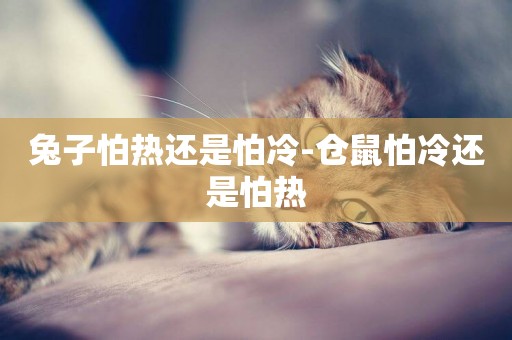 兔子怕熱還是怕冷-倉鼠怕冷還是怕熱