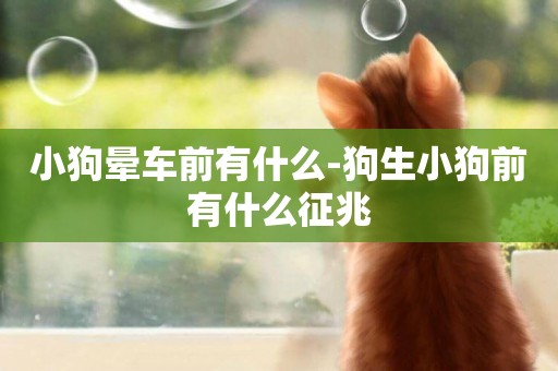 小狗暈車前有什么-狗生小狗前有什么征兆