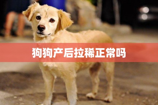 狗狗產后拉稀正常嗎