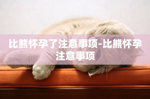 比熊懷孕了注意事項-比熊懷孕注意事項