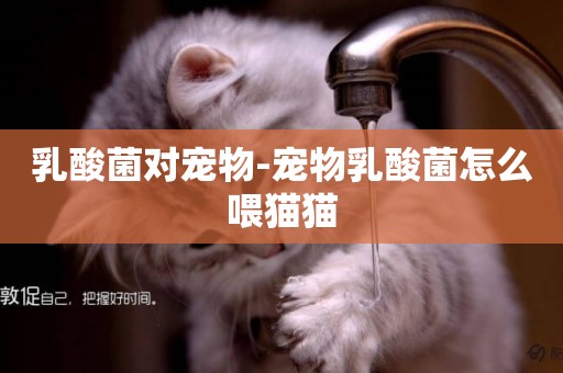 乳酸菌對寵物-寵物乳酸菌怎么喂貓貓
