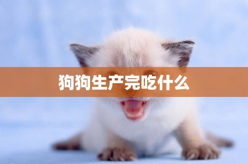 狗狗生產完吃什么