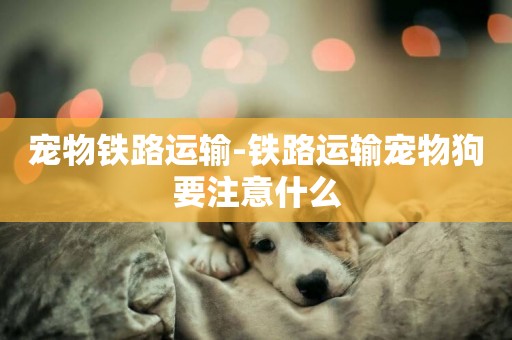 寵物鐵路運輸-鐵路運輸寵物狗要注意什么