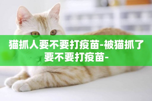 貓抓人要不要打疫苗-被貓抓了要不要打疫苗-