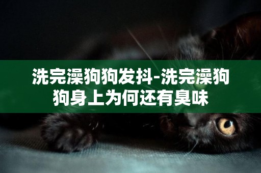 洗完澡狗狗發抖-洗完澡狗狗身上為何還有臭味