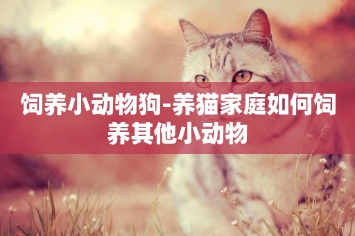 飼養小動物狗-養貓家庭如何飼養其他小動物