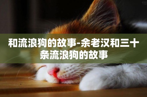 和流浪狗的故事-余老漢和三十條流浪狗的故事