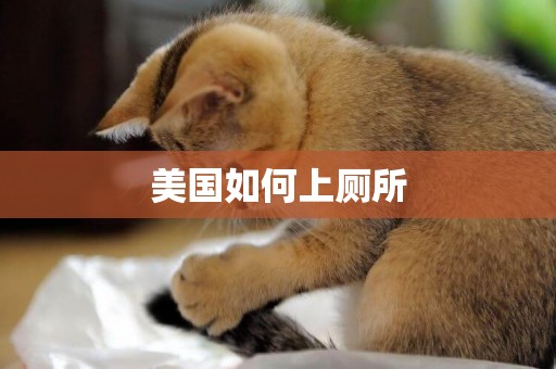 美國如何上廁所