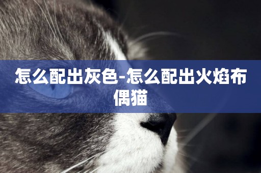 怎么配出灰色-怎么配出火焰布偶貓