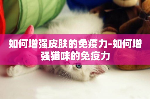 如何增強皮膚的免疫力-如何增強貓咪的免疫力
