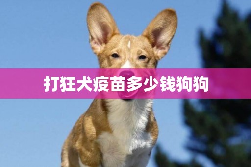 打狂犬疫苗多少錢狗狗