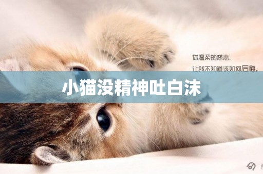 小貓沒精神吐白沫