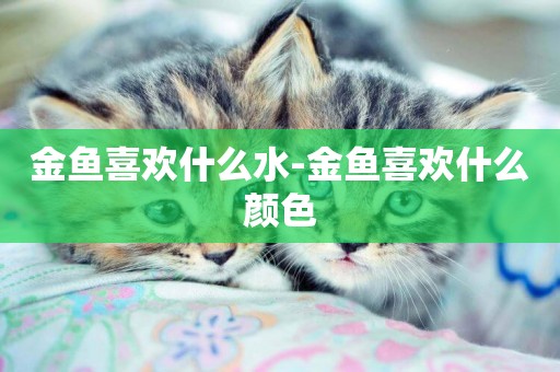 金魚喜歡什么水-金魚喜歡什么顏色