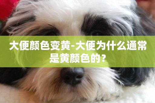 大便顏色變黃-大便為什么通常是黃顏色的？
