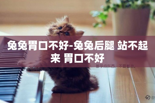 兔兔胃口不好-兔兔后腿 站不起來 胃口不好