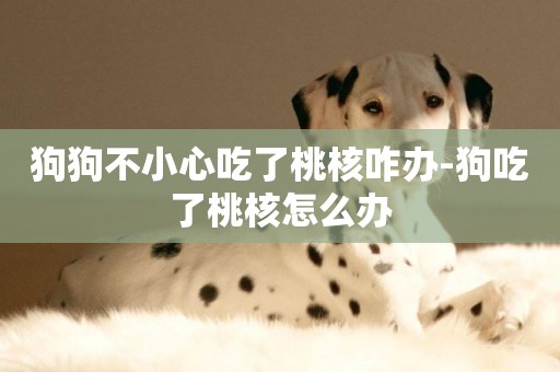 狗狗不小心吃了桃核咋辦-狗吃了桃核怎么辦