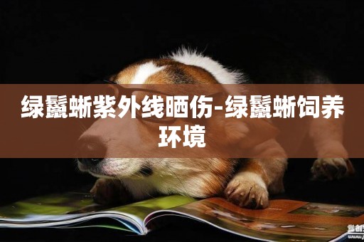 綠鬣蜥紫外線曬傷-綠鬣蜥飼養環境