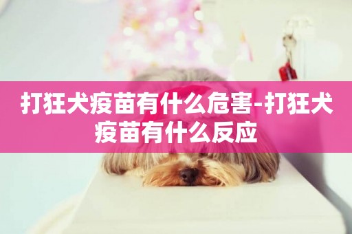 打狂犬疫苗有什么危害-打狂犬疫苗有什么反應
