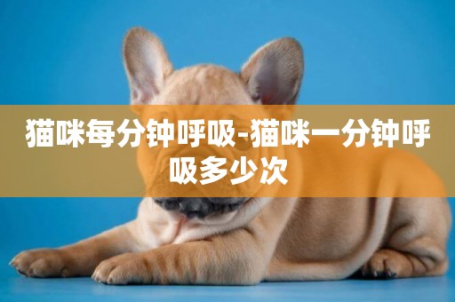 貓咪每分鐘呼吸-貓咪一分鐘呼吸多少次