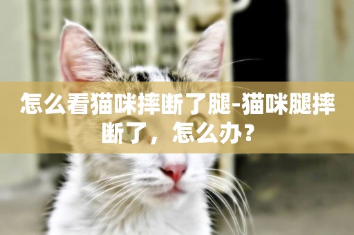 怎么看貓咪摔斷了腿-貓咪腿摔斷了，怎么辦？