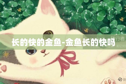 長的快的金魚-金魚長的快嗎