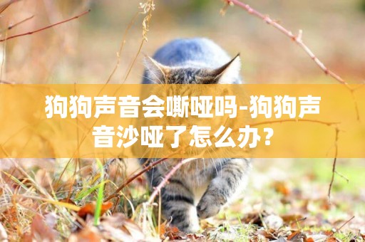 狗狗聲音會嘶啞嗎-狗狗聲音沙啞了怎么辦？