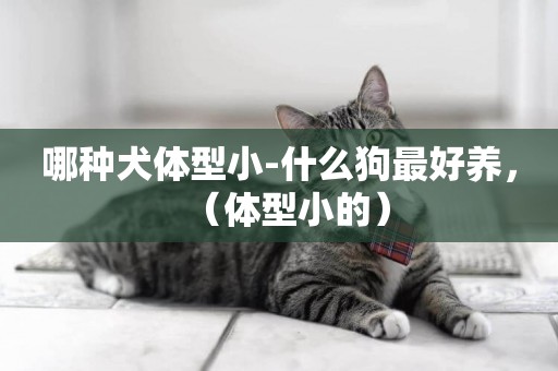 哪種犬體型小-什么狗最好養，（體型小的）
