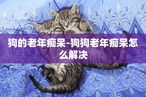 狗的老年癡呆-狗狗老年癡呆怎么解決