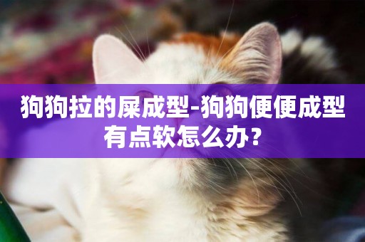 狗狗拉的屎成型-狗狗便便成型有點軟怎么辦？